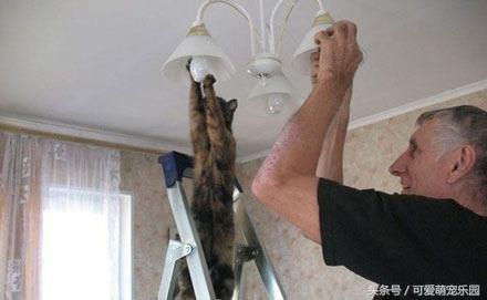 头冷捂头脚冷捂脚，前提是必须经过喵星人同意！