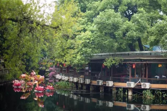 别再跟我说“母鸡”去哪玩！广州48个一日游免费景点推荐！