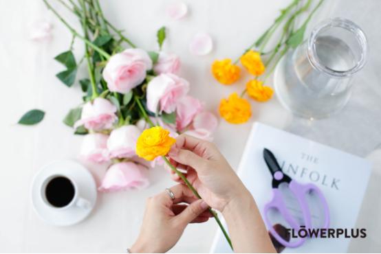 有颜值、有明星、还有600亿市场的鲜花电商,并不是看起来很美?