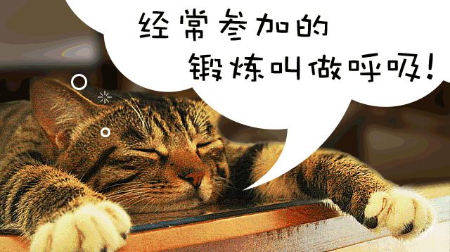 100元美白套装,100元美白