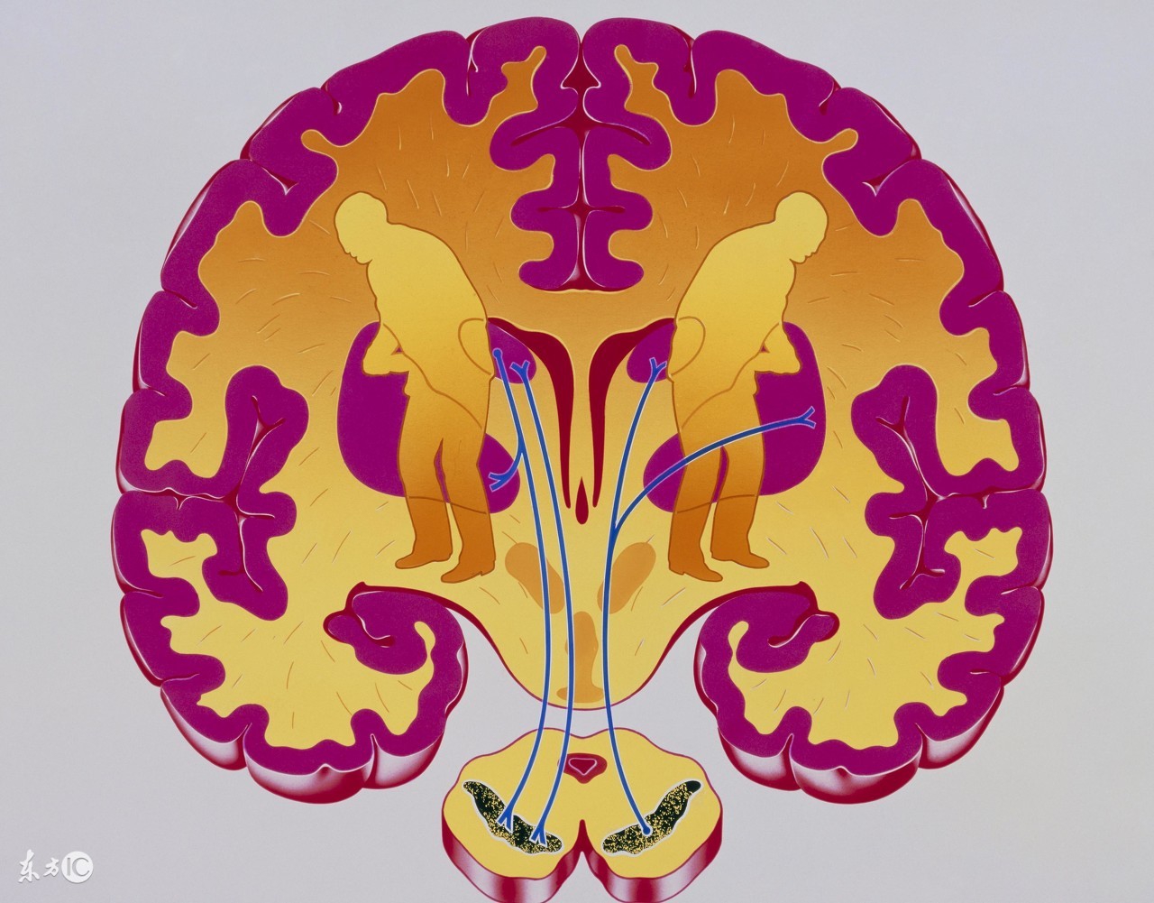 护理新生儿缺血缺氧性脑病的方法有哪些