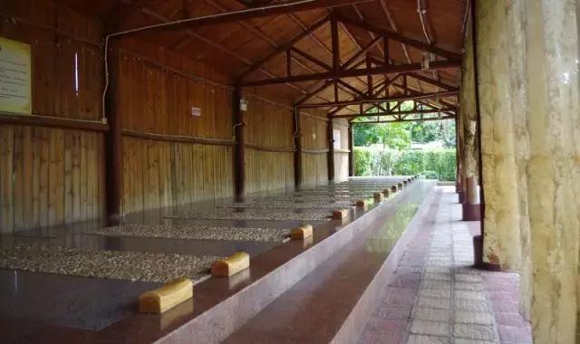 最新出炉的广东十大温泉排行榜,广东最好的隐奢温泉