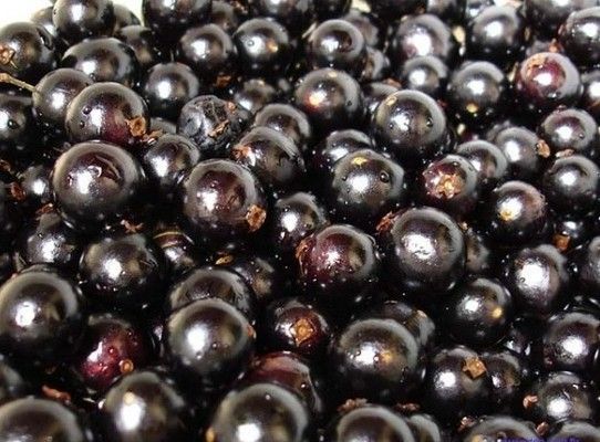 这三种水果你吃过了吗,这7种水果你吃过吗