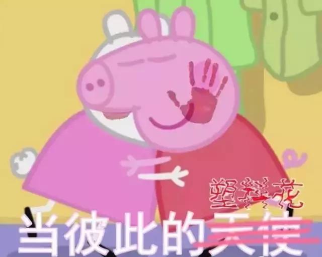 小猪佩奇最反映人性的一集,是不是小猪佩奇都有这样的表情