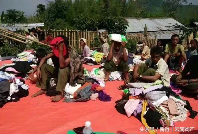 做茶的艰辛只有做茶人懂,资深茶人种茶做茶30年了