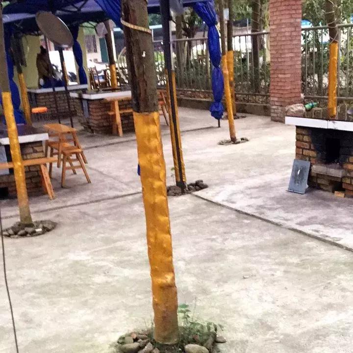 冬天吃柴火鸡简直太过瘾了！还没感受过？太out了，赶快克整一只~