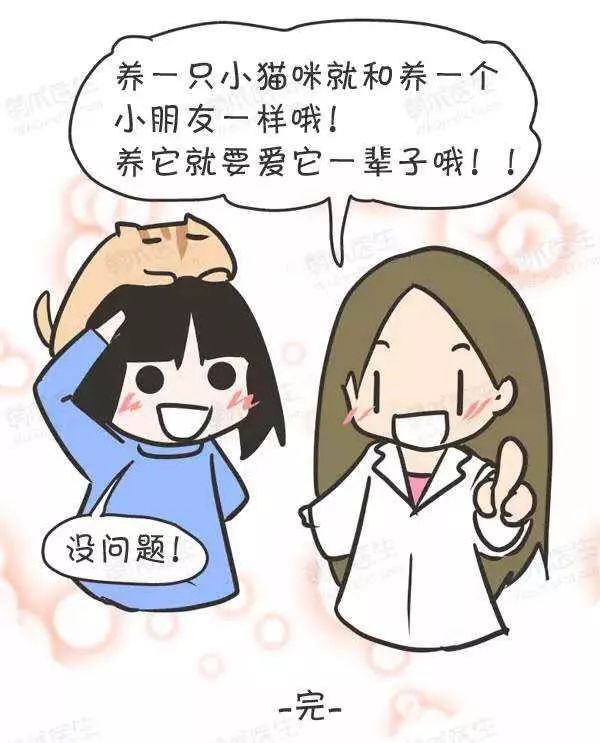 领养猫咪怎么看精神状态,领养猫咪如何知道乖不乖