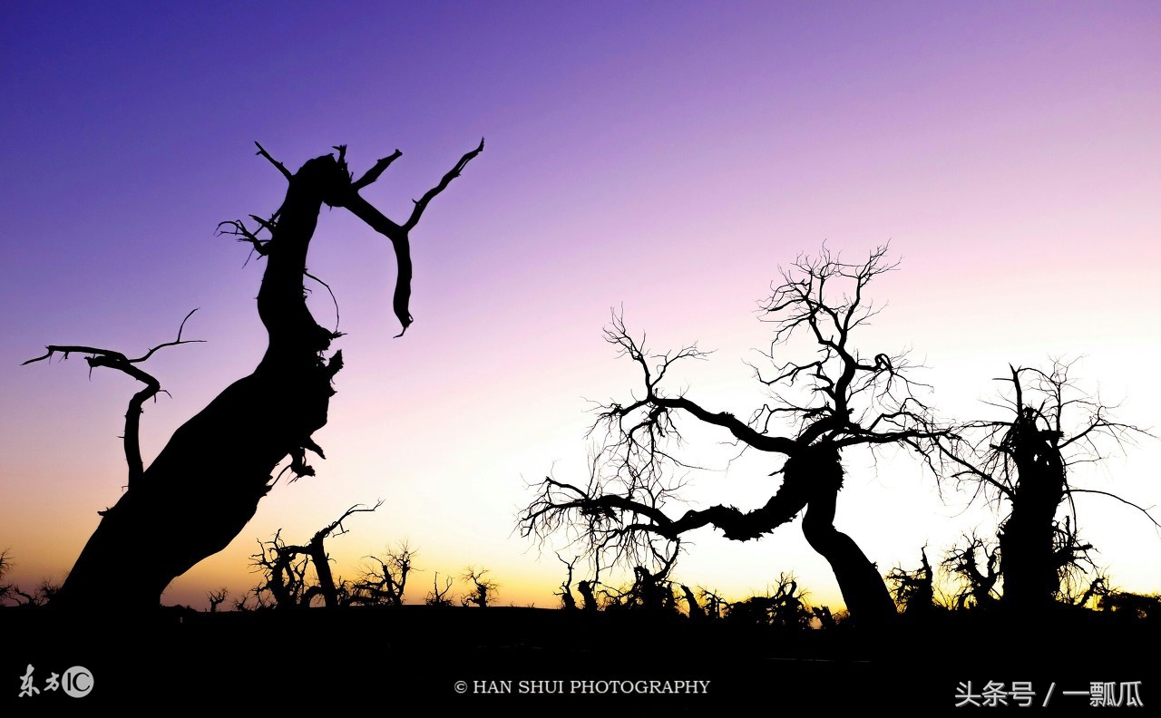 足球带给我们的正能量,正能量王军