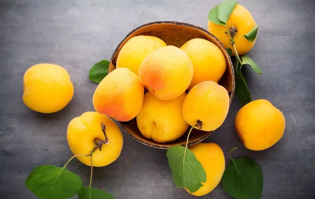 上海各个景点及路线图,上海周边公交车地铁可以到的景点