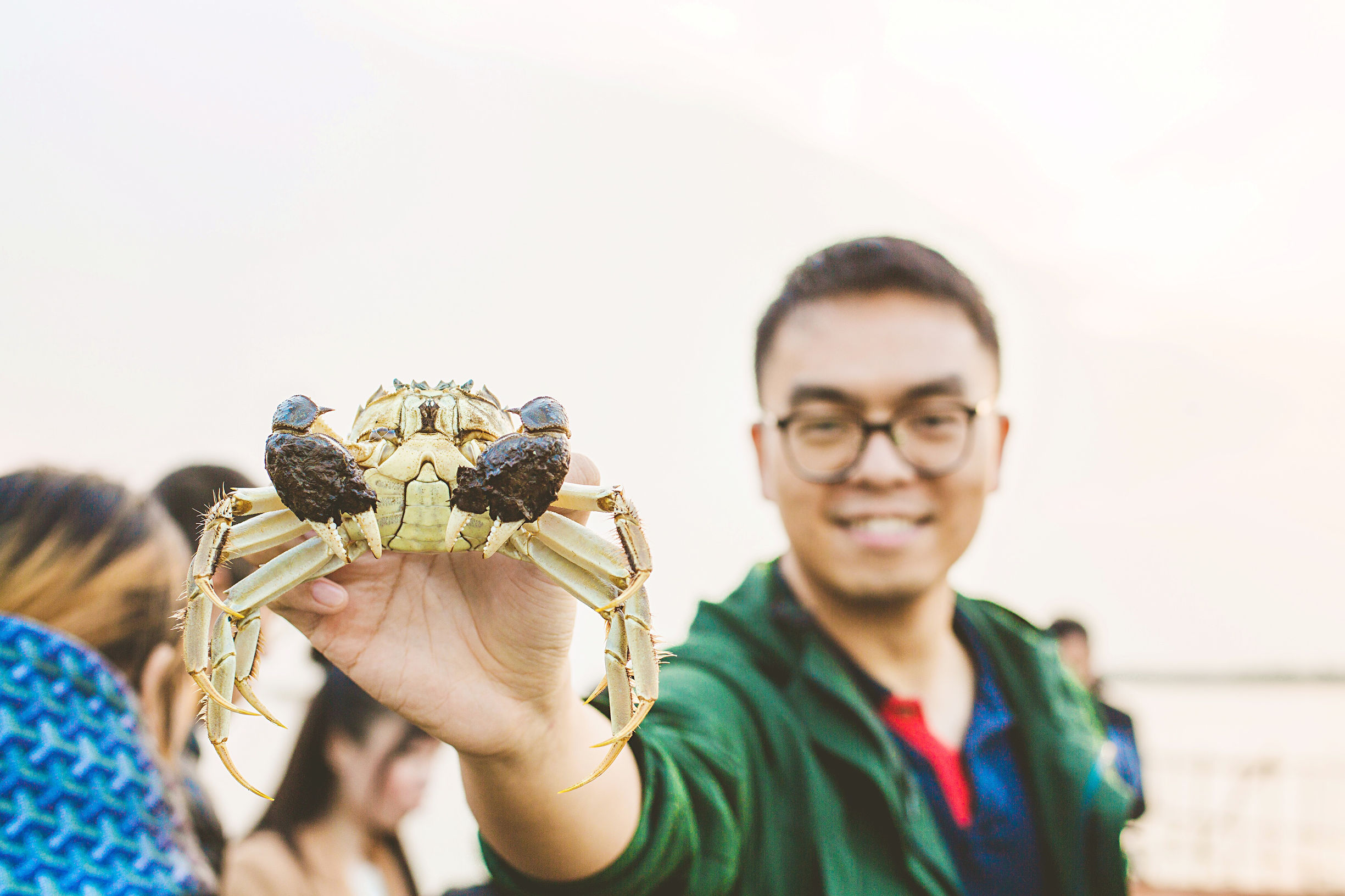 阳澄湖捞出来的大闸蟹,阳澄湖大闸蟹能捞么