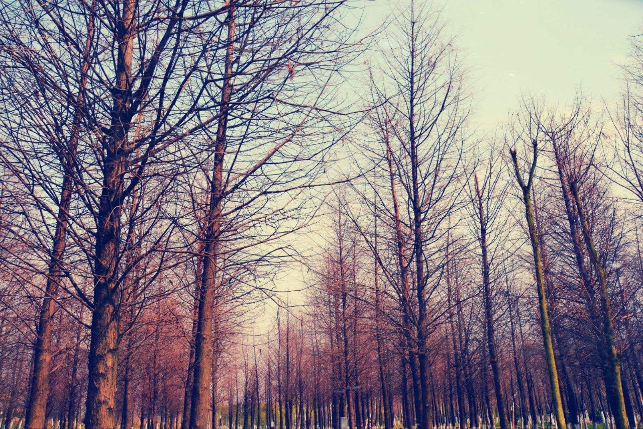 上海哪个地铁站去景点方便,上海免费景点及地铁路线