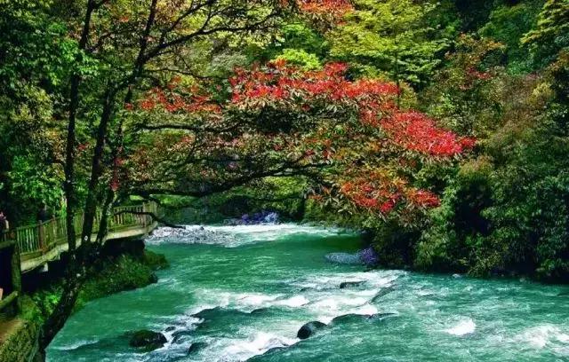 重庆让人着迷的城市,重庆一个充满火锅味的城市