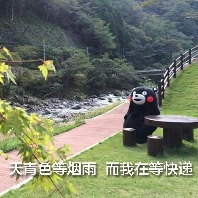 王卫顺丰快递是怎么来的,顺丰快递王卫谈为什么快