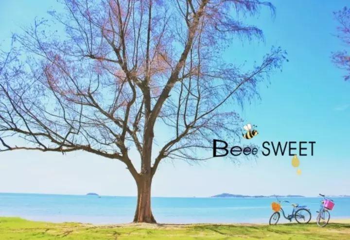 厦门曾厝埯住宿攻略,厦门旅游攻略五天4晚自由行视频