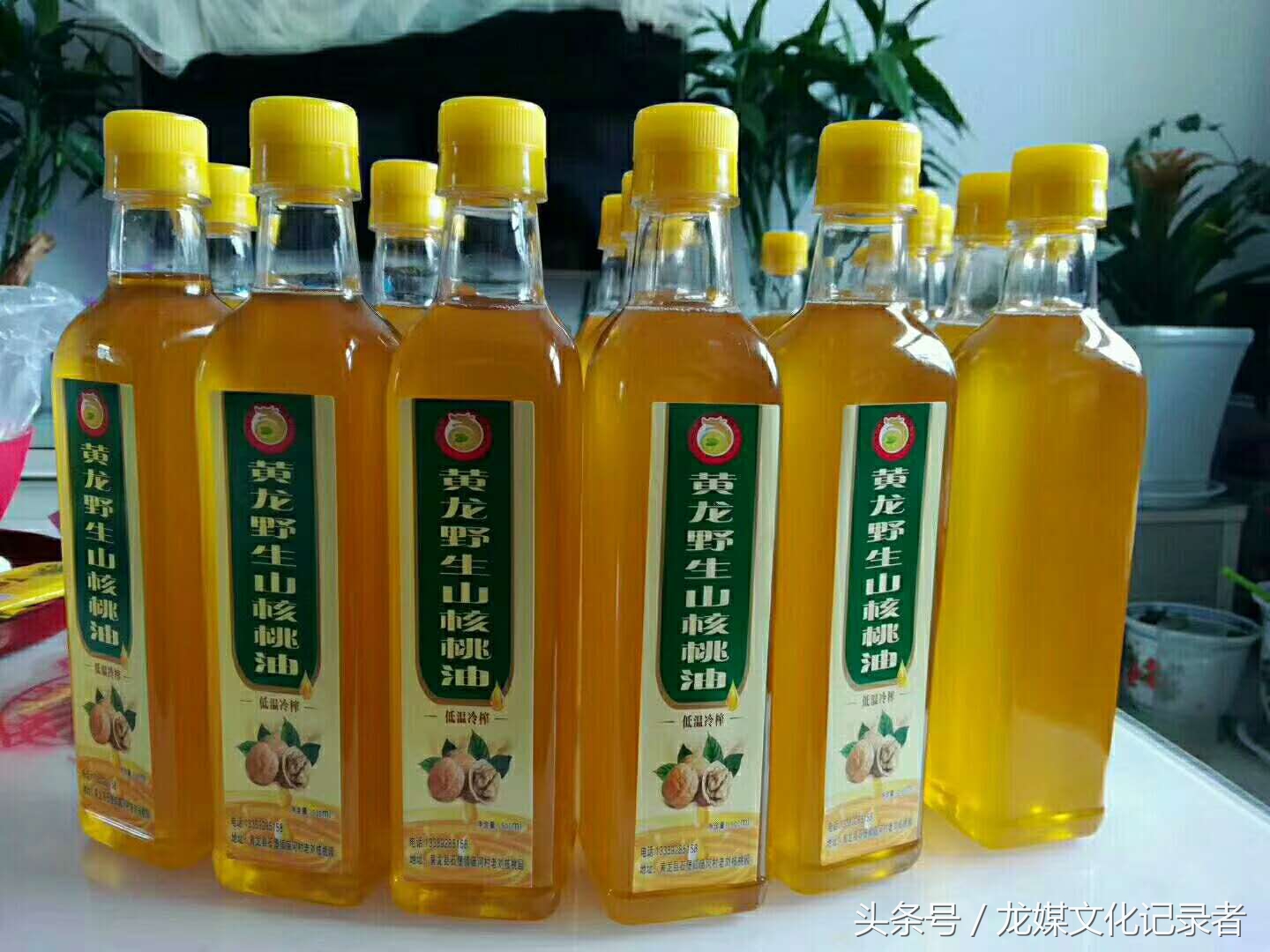 陕西黄龙绿皮核桃,延安市黄龙核桃