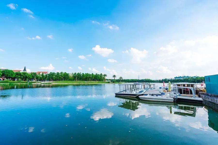 上海松江未来地铁线路图2025超清,上海各区旅游地铁线路图