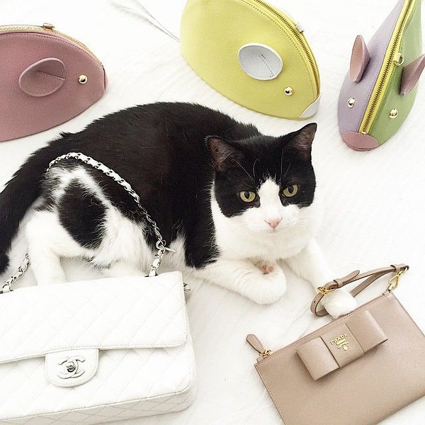 品味都是钱堆出来的,好的品味都是钱堆出来的