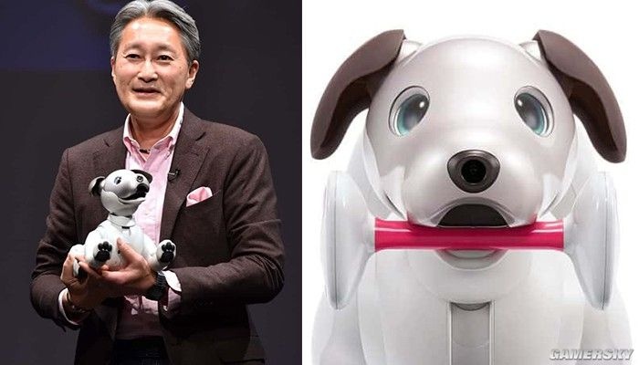 比起在座的诸位它才是一条真“索狗”