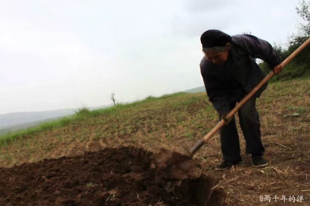 甘肃赏田园风光感受乡村魅力,甘肃渭源风景图片大全