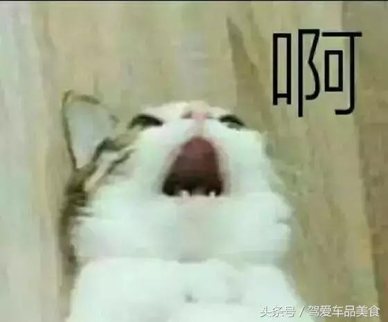 买衣服太多退货会被运费险拉黑吗,退货太多没有运费险多久恢复