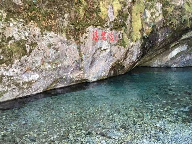 大理人，周末你要做什么