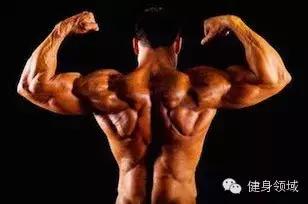 背部训练动作背心,教你几招新的背部训练动作