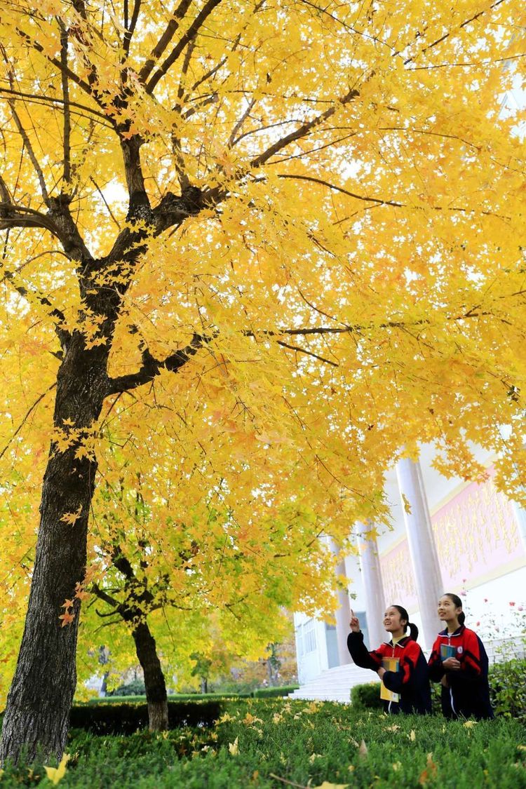 金秋沂南,诗意流淌有那么一群爱美的人,把秋季沂南送到你面前