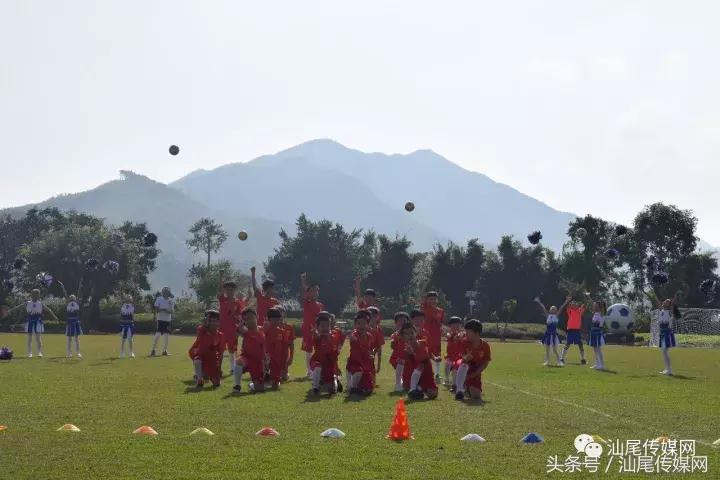 德成中英文学校晚会,德成中英文学校元旦直播回放