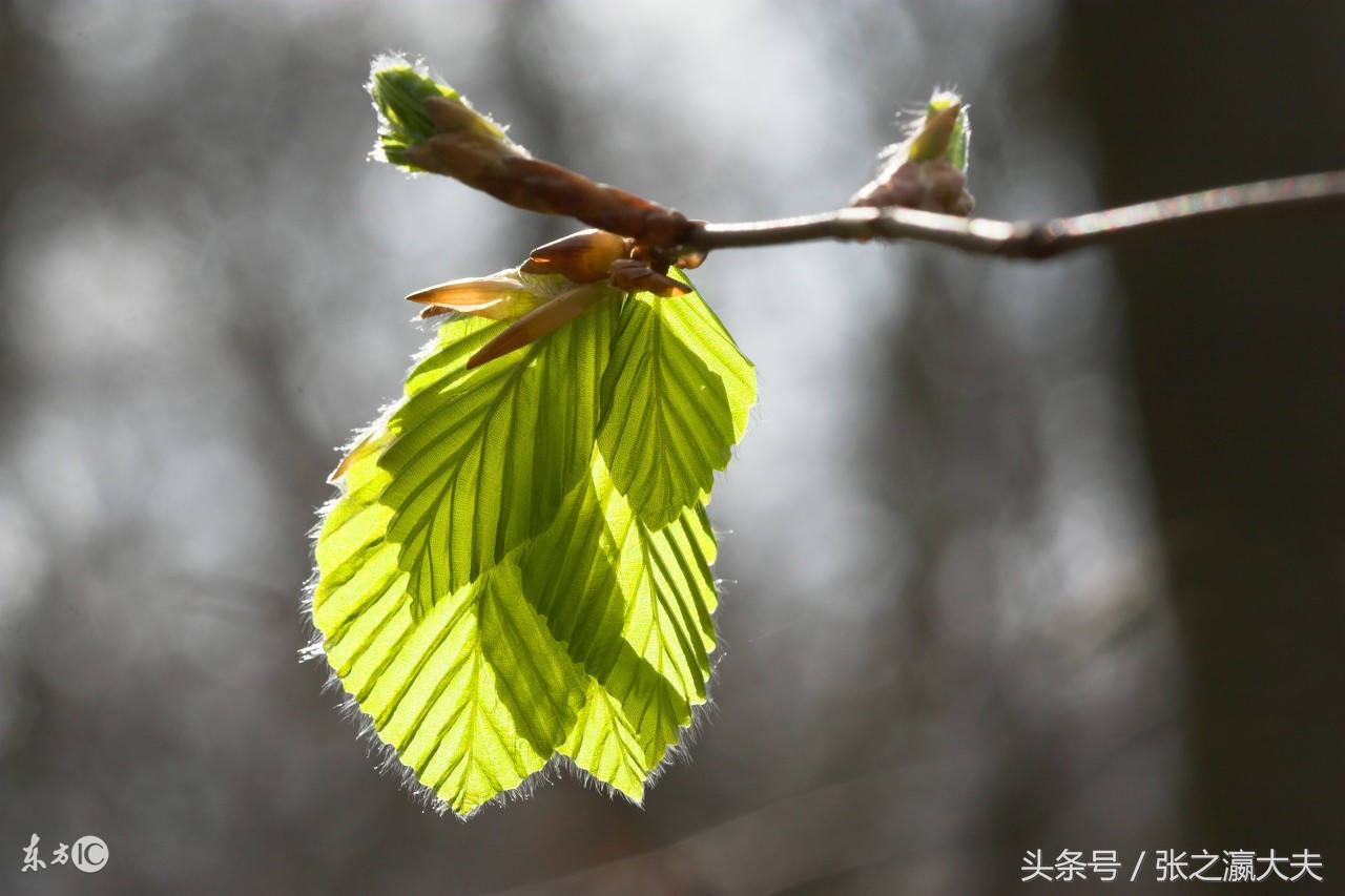 篮球记者患癌病例,27岁篮球记者患上罕见癌症