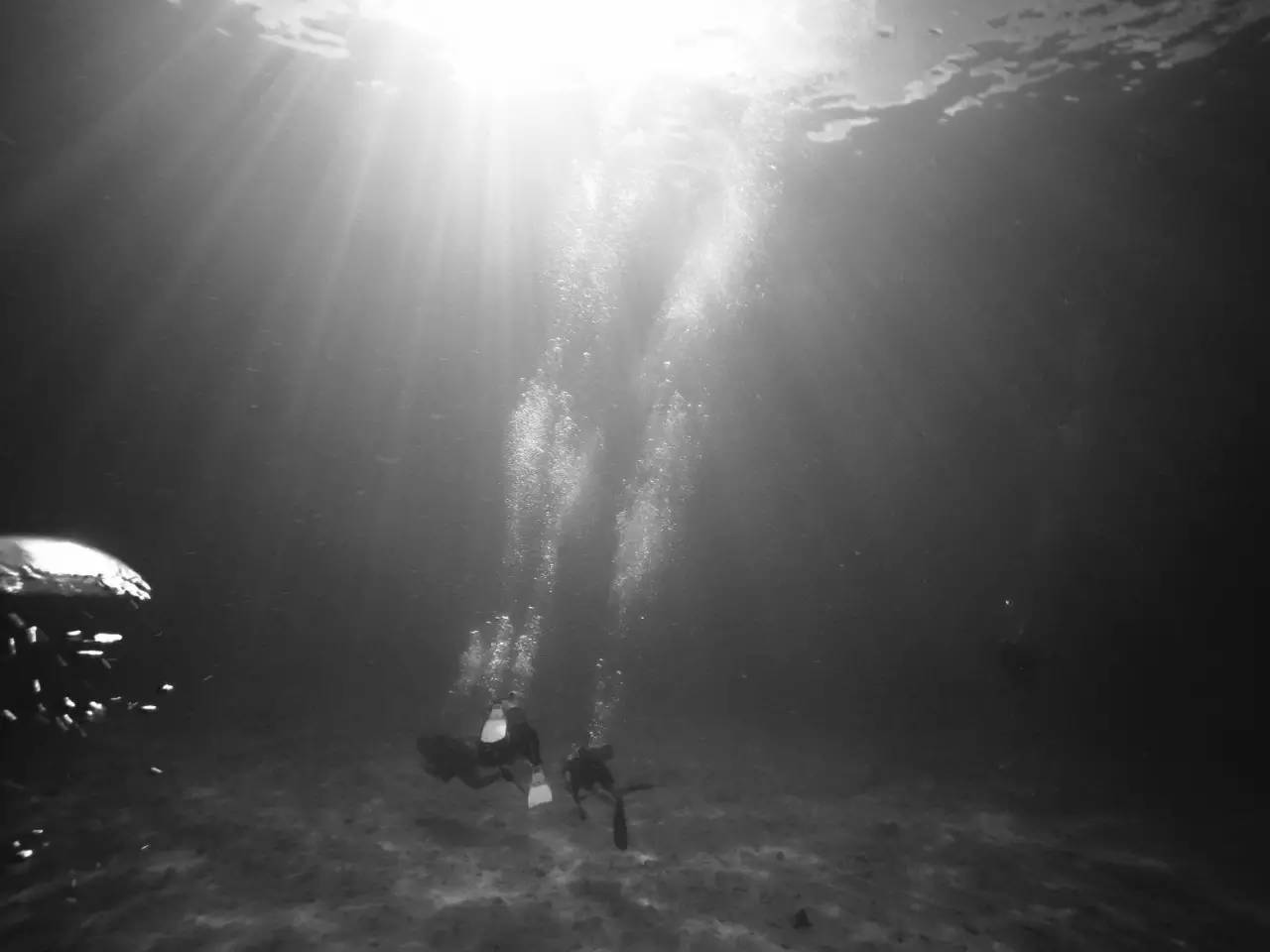 潜水零基础入门教程 (10个简单又可能被忽略的潜水技巧)