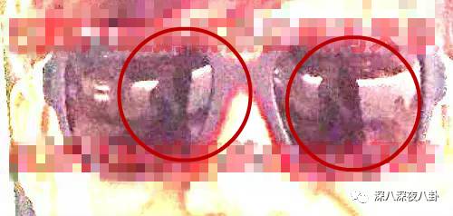 何老师和魏大勋原来你们有这么多不为人知的小秘密