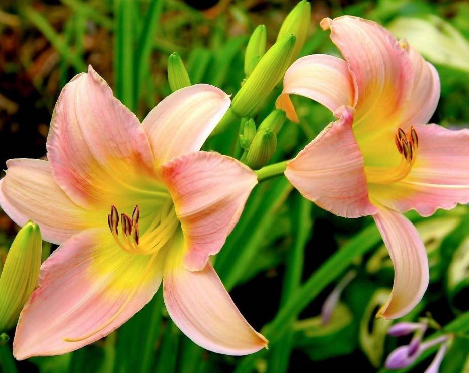 如果你现在很穷一定要做这几件事,在你最穷最困难的时候应该怎么做