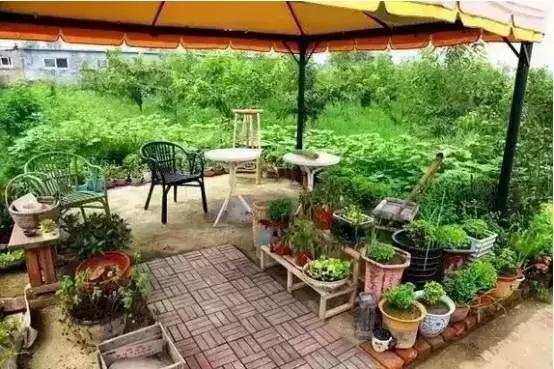 如果你的农庄是凤姐，如何把它打造成范冰冰？（附农庄改造案例）