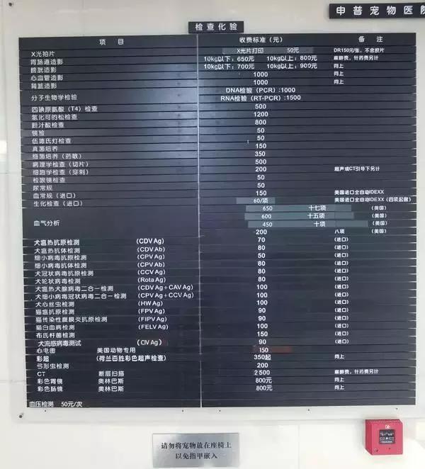 中国为什么没有正规的宠物医院,国内靠谱的宠物医院