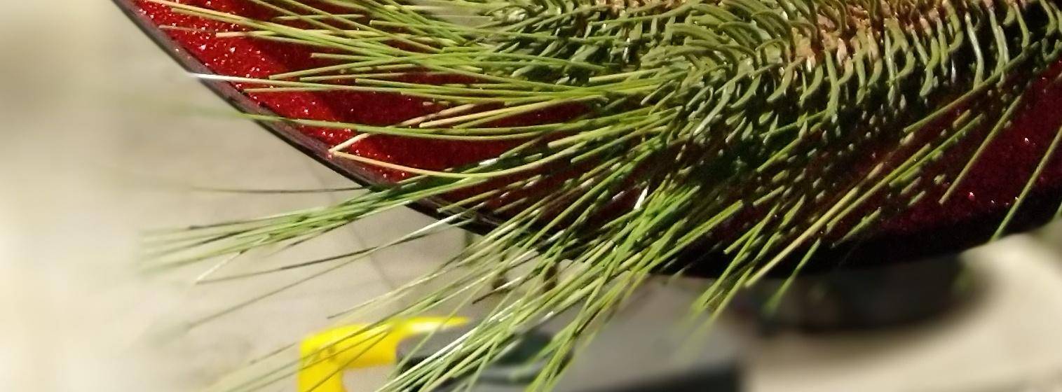 锤子坚果pro2s测评照片,坚果pro2s拍照小白测评