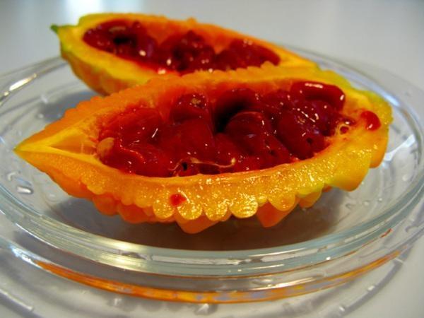 阿刚美食记,阿刚美食家常菜