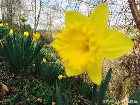 相机拍摄的照片不清晰怎么p,手机摄影怎么拍摄不了好照片