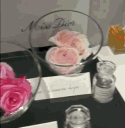 全新的MissDior吸引王珞丹何穗是因为……