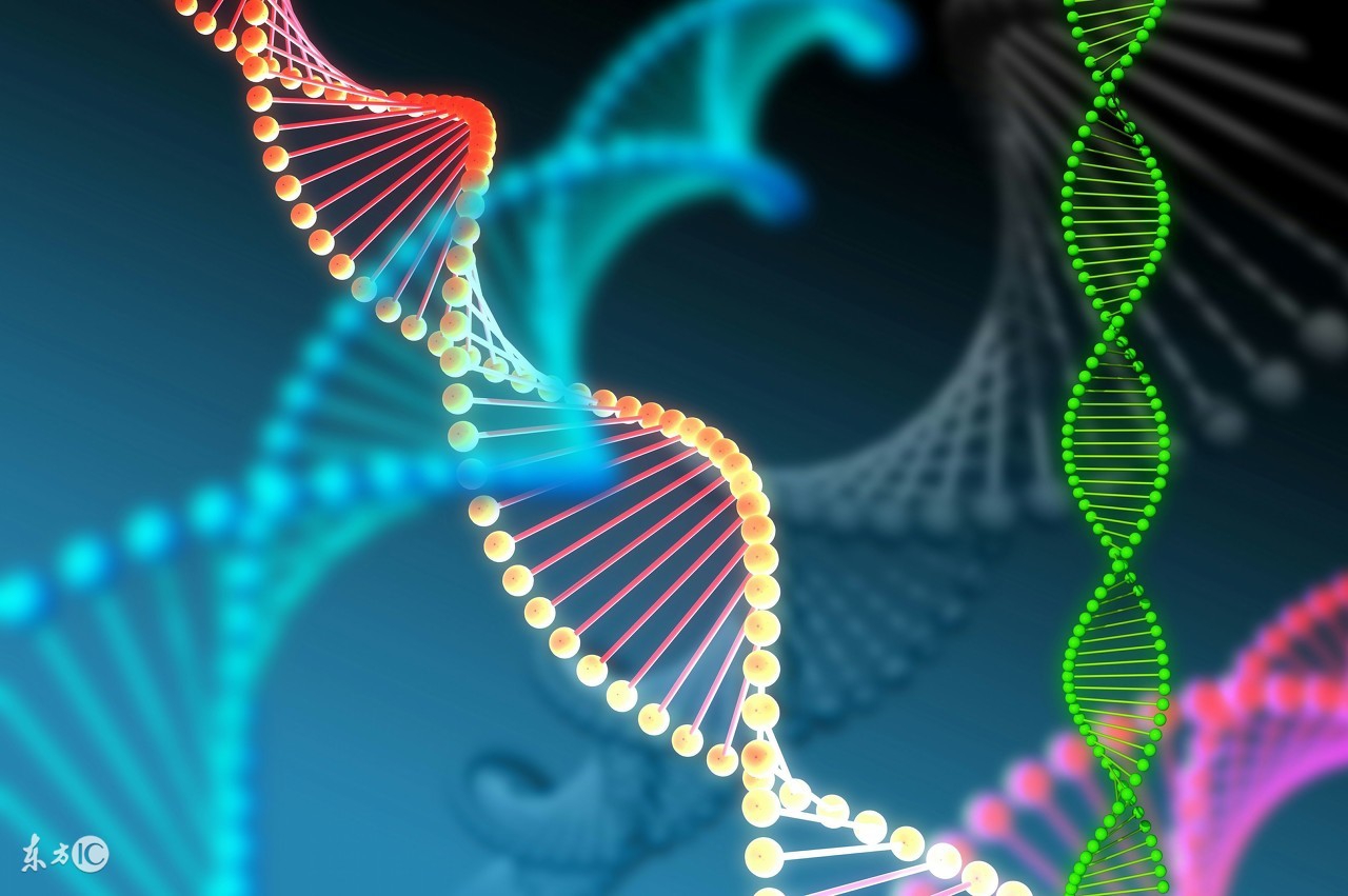 当今肿瘤的诊断和治疗方法,目前肿瘤治疗的几大方法