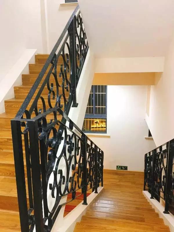 中国为什么没有正规的宠物医院,国内靠谱的宠物医院