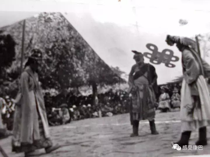 雪山上的红牡丹,藏族雪山上的红牡丹