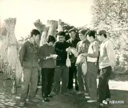 呼和浩特市桥靠村老照片,呼市桥靠村的07年照片