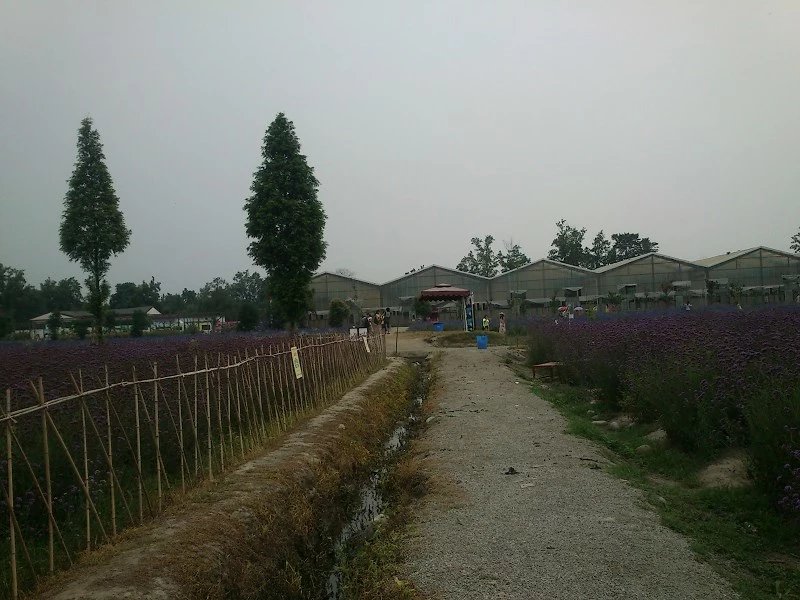 郫都区附近的农家乐和休闲农庄,郫都妈妈农庄照片