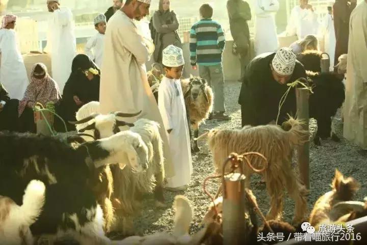 阿曼对中国是落地签证吗,阿曼与中国免签