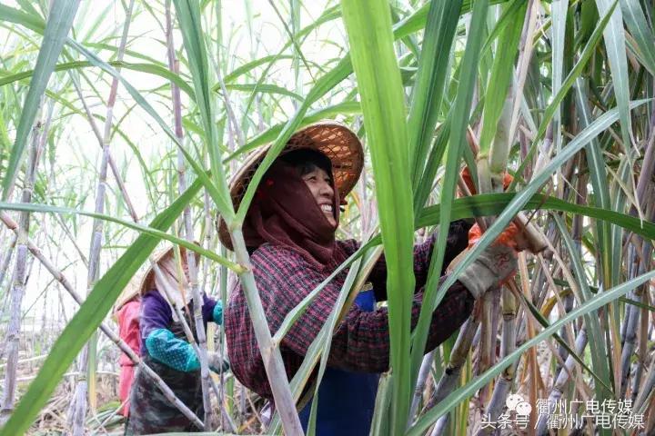 衢州这个地方,连空气都是甜甜的!