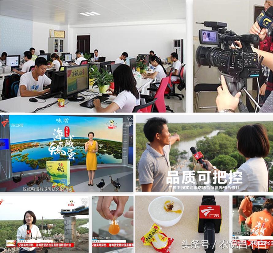 90后卖鸭货创业,90后创业红树林海鸭蛋