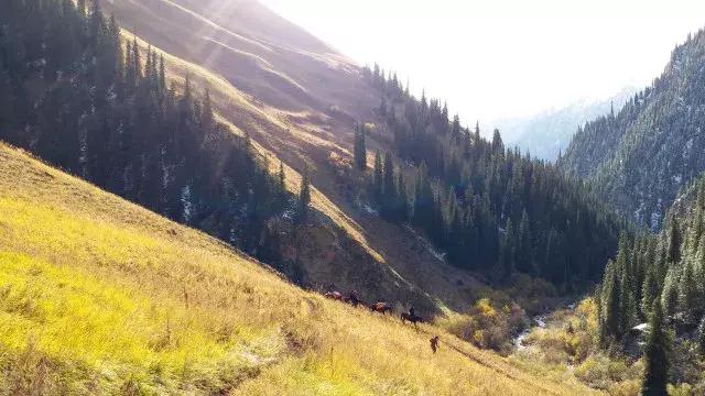 拜城乌孙古道的天堂湖怎么去,新疆特克斯县乌孙古道天堂湖