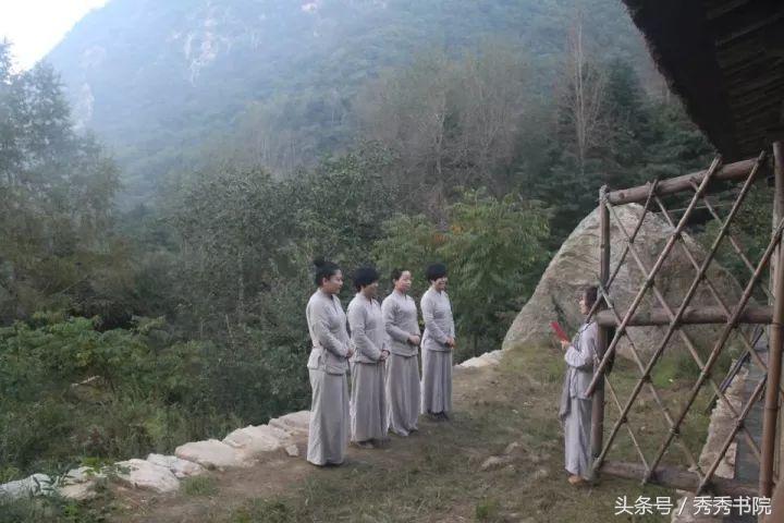 茶道养生全集视频,茶道养生课视频