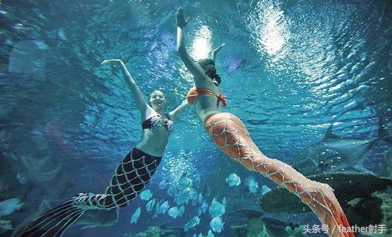 太平洋海洋馆和北京海洋馆哪个好,北京海洋馆和上海海昌海洋馆