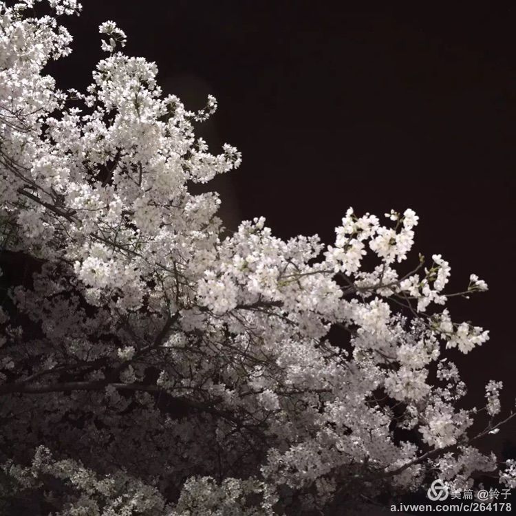 十大最美校园深圳大学,探访最美大学武汉大学